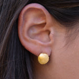 Anfitrite earring 